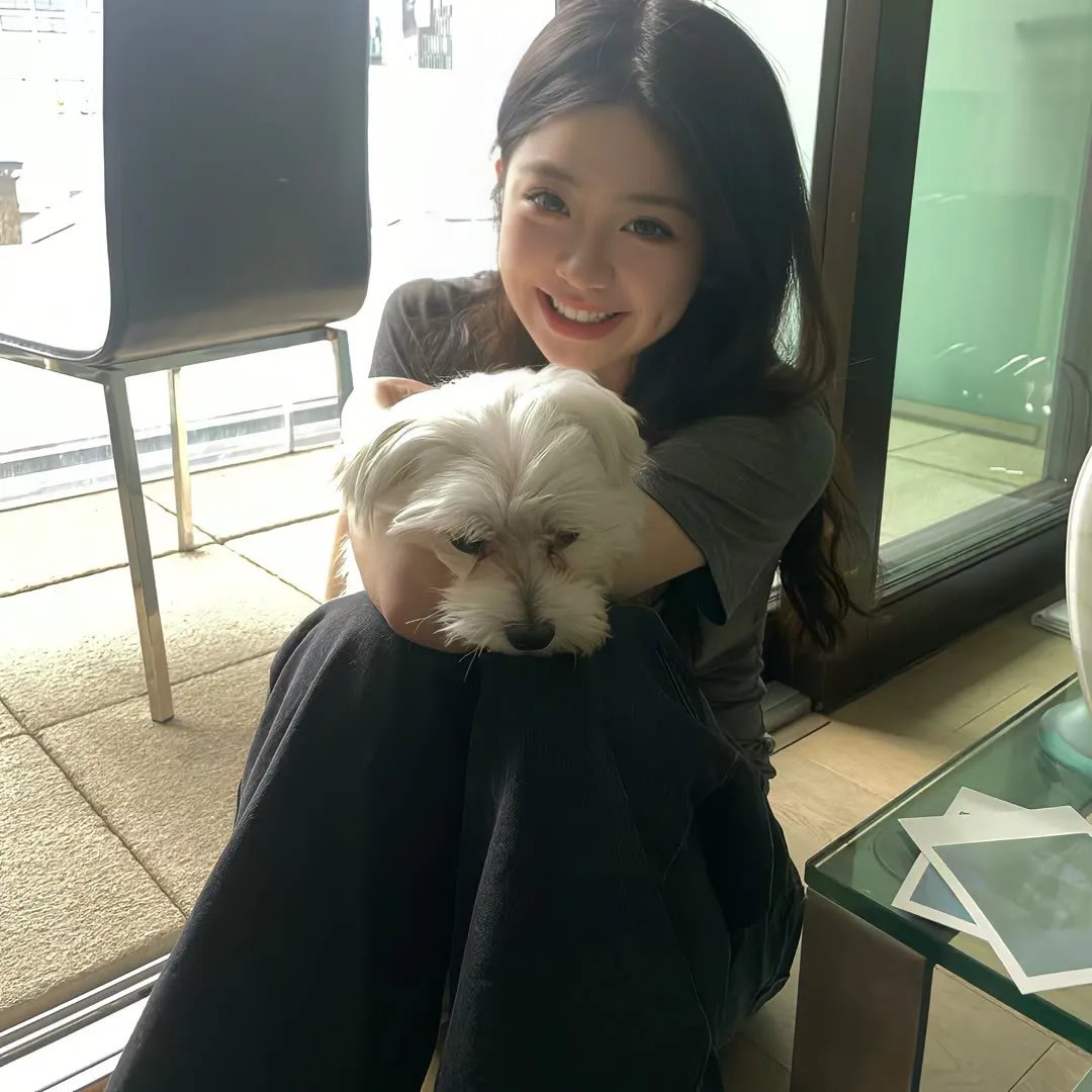 美国谍梦第三季