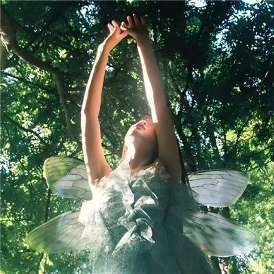 我的法宝都是规则系